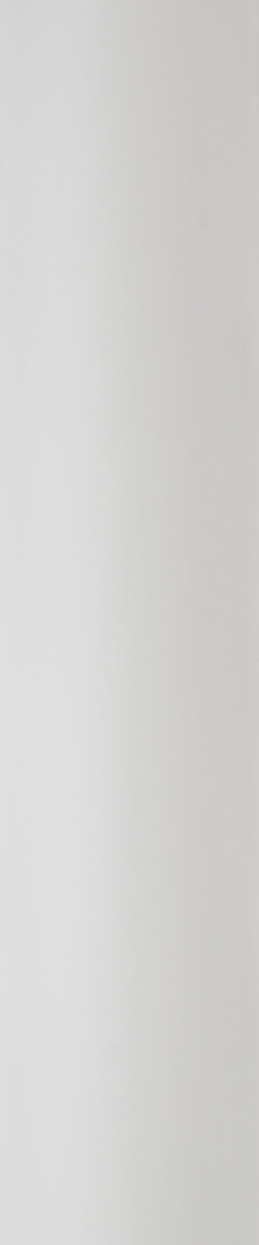 VELA PLAIN