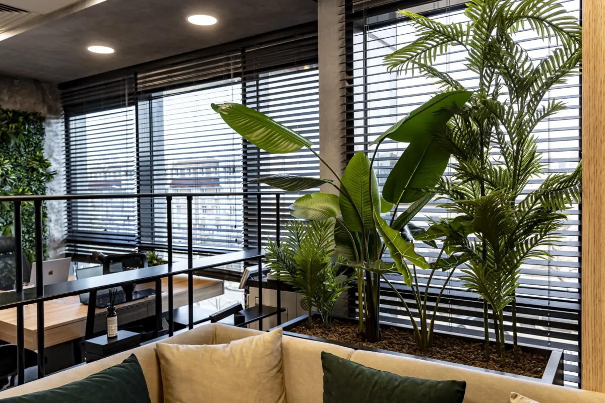 Plante și lumină filtrată prin jaluzele la Hubix, București